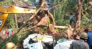 Woman dies on the spot, driver injured after tree comes crashing down on driving class car at Sanguem