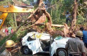 Woman dies on the spot, driver injured after tree comes crashing down on driving class car at Sanguem