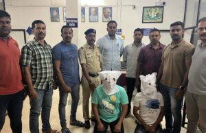 Two arrested for housebreaking and thefts at Pontemol, Cucrchorem