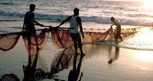 Fisheries Dept invites applications for subsidies under various schemes