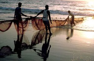 Fisheries Dept invites applications for subsidies under various schemes