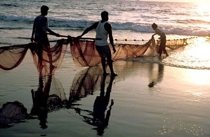 Fisheries Dept invites applications for subsidies under various schemes