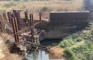 Verbal spat between Goa AAP delegation & Karnataka officials at Mhadei diversion site