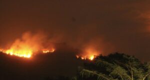 Do’s & Dont’s in view of rising fire incidents in Goa