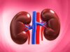 19-year-old brain dead patients organs harvested at GMC; transported to Dabolim through green corridor