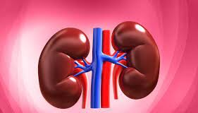 19-year-old brain dead patients organs harvested at GMC; transported to Dabolim through green corridor