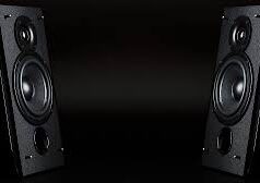 Anjuna police file chargesheets against 2 hotels for causing sound pollution through loud music