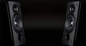 Anjuna police file chargesheets against 2 hotels for causing sound pollution through loud music