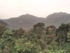 Goa State Board for Wildlife reconstituted