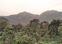 Goa State Board for Wildlife reconstituted