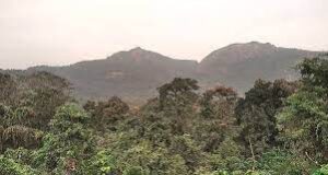 Goa State Board for Wildlife reconstituted