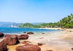 Goa pushes for stronger tourism, economic links with Russia