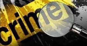 No rise in Goa’s crime rate, social media amplifies incidents asserts DGP