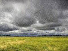 Goa faces 41.9% rainfall deficit as monsoon arrival delayed by 6 days