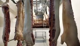 58-year-old Benaulim man arrested for operating slaughter house sans permissions