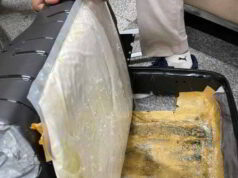 Delhi Heroin seizure: Hyderabad woman who came to collect delivery nabbed from Calangute hotel