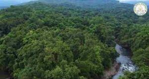 Forest Diversity Festival to be held in Panaji from January 9-11, 2026