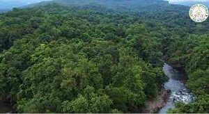 Forest dept bans entry for public inside all Wildlife Sanctuaries and waterfalls in Goa