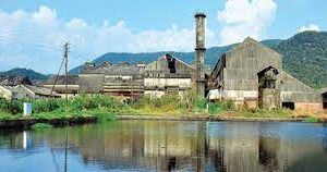 Govt invites bids for ₹130 crore redevelopment of Sanjivani Sugar Factory under PPP model