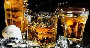 Forest Dept directed to ban alcohol and plastic bottles in forest areas