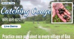 How to catch Conge: Live Demo