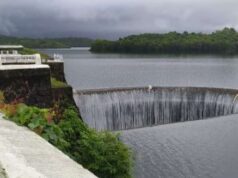 Selaulim dam fills up, overflows from crest