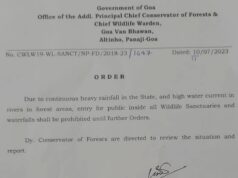 Forest dept bans entry for public inside all Wildlife Sanctuaries and waterfalls in Goa
