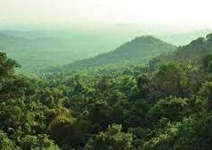 GFDC to be nodal agency for all tourism-related activities within demarcated forest areas: Rane