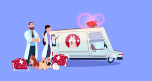 Veterinary ambulance services to start at Bicholim, Panaji, and Chicalim soon
