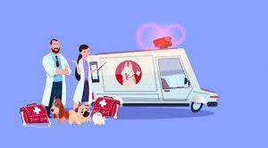 Veterinary ambulance services to start at Bicholim, Panaji, and Chicalim soon