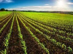 Sub Registrars asked to allow sale of agriculture land till rules of law banning such sale are notified