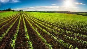 Sub Registrars asked to allow sale of agriculture land till rules of law banning such sale are notified