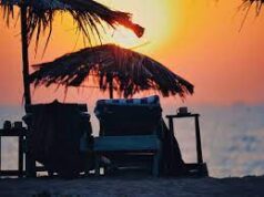 Goa government allows renewal of 23 shacks despite subletting