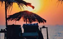 Goa government allows renewal of 23 shacks despite subletting