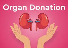 25-year-old accident victim gives new lease of life to four; green corridor to transport organs