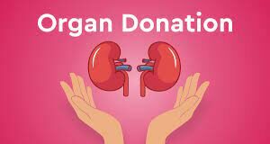 25-year-old accident victim gives new lease of life to four; green corridor to transport organs