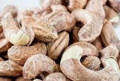Goa Cashew gets GI tag