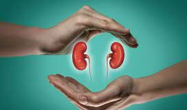 Naman Diwas: Goa govt honours Organ donors families