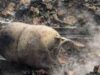 Cylinder blast blows off part of wall in Panaji; 2 kids escaped unhurt