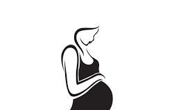 Pregnant woman caught in stray cattle fight at Porvorim grievously injured
