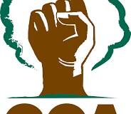 Goa Foundation warns to move court if govt restarts mining without fulfilling 39 mining conditions