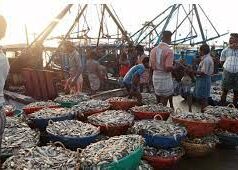 Fisheries department invites applications under 2 PMMSY schemes