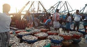 Fisheries department invites applications under 2 PMMSY schemes