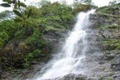 Urban Forest Park to come up at Valpoi