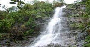 Urban Forest Park to come up at Valpoi