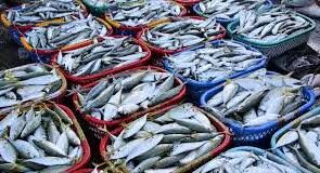 SGPDA mulling shifting of Margao wholesale fish market to Verna IDC for 6 months
