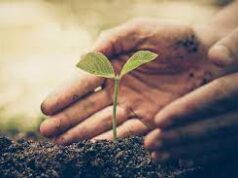 Center invites proposals to empower panchayats for plant genetic resource conservation