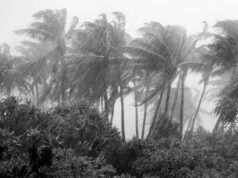 India likely to experience above-normal rainfall this monsoon: IMD