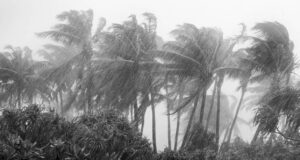 India likely to experience above-normal rainfall this monsoon: IMD