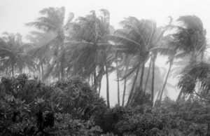 India likely to experience above-normal rainfall this monsoon: IMD